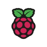 Raspberry Pi logo