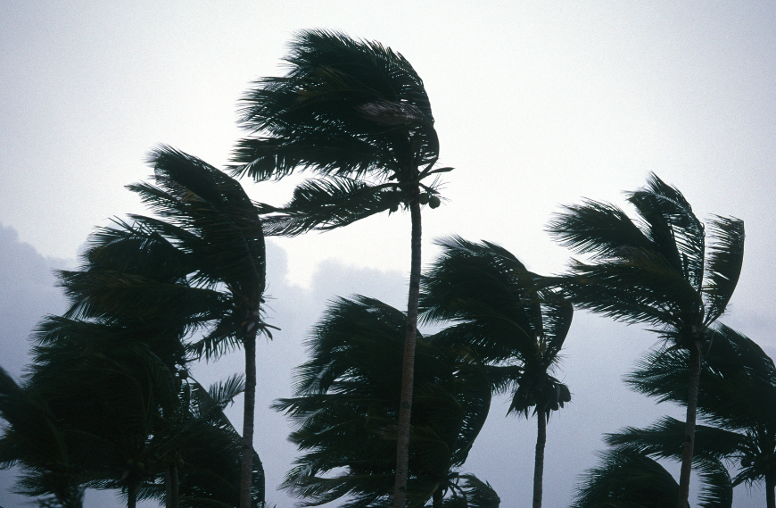 typhoon
